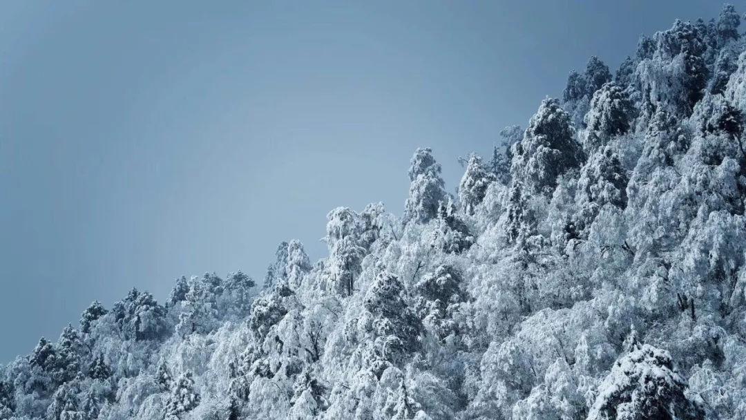 脑洞小老弟无实名认证